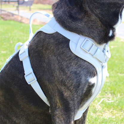 Neoprene Comfort Control Monochrome Harness, Gray, Extra Small